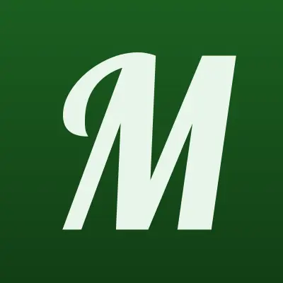 МаксС, компания, лого-визитка
